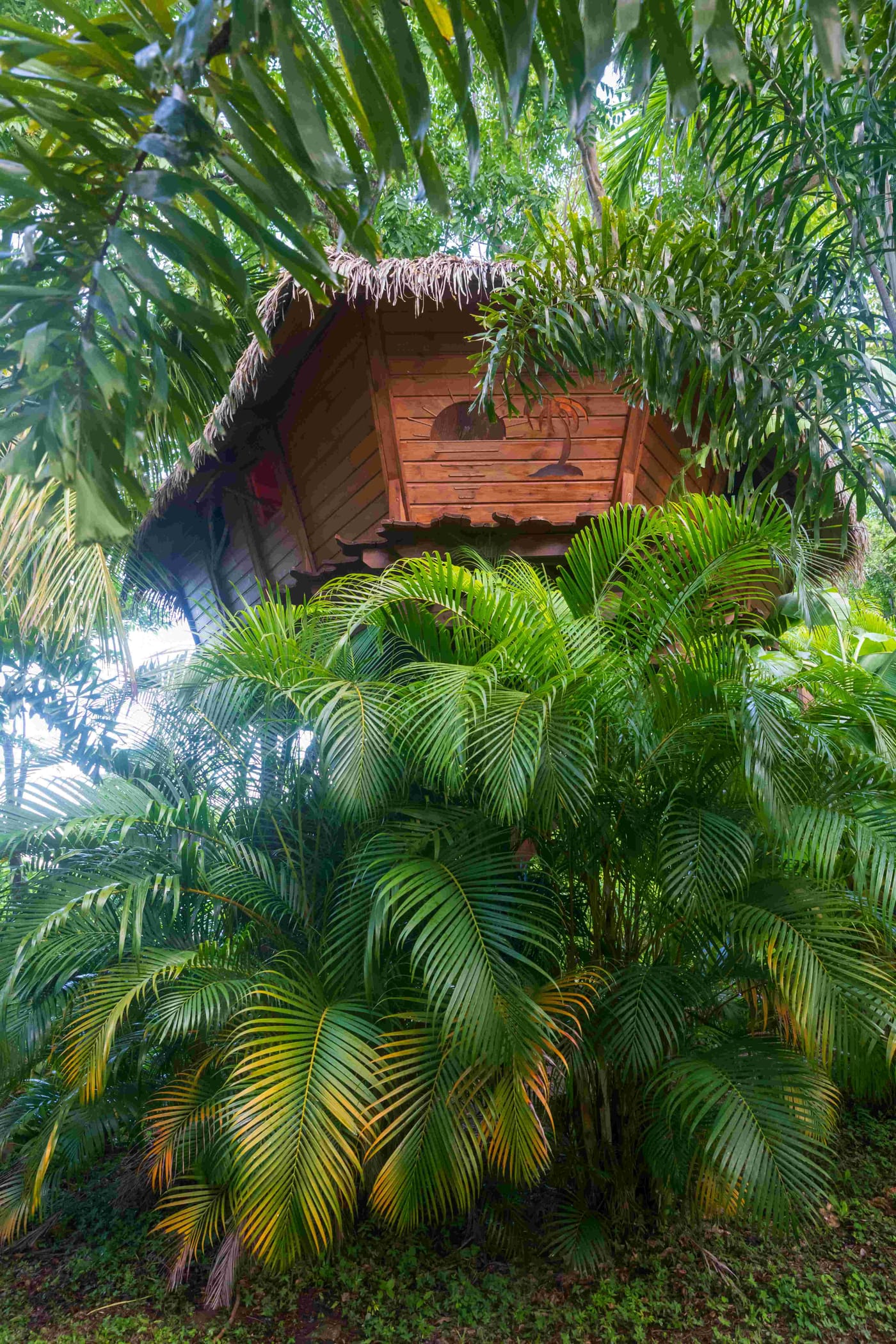 Détail de la décoration de la Cabane Rhum