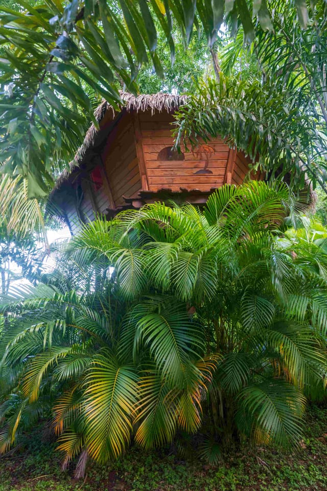 Cabane Rhum — photo 4