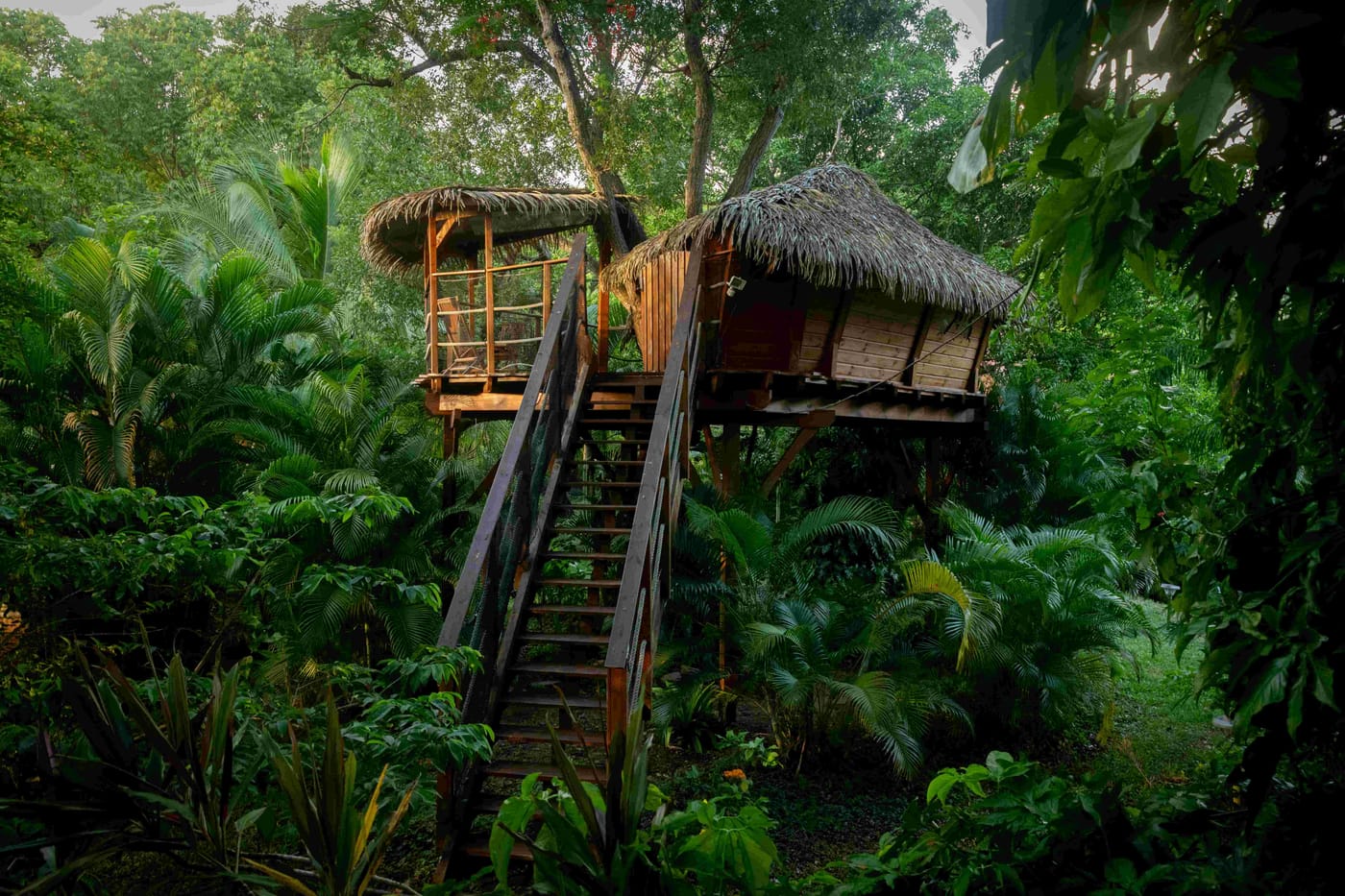 Terrasse privative de la Cabane Zoé sur la canopée