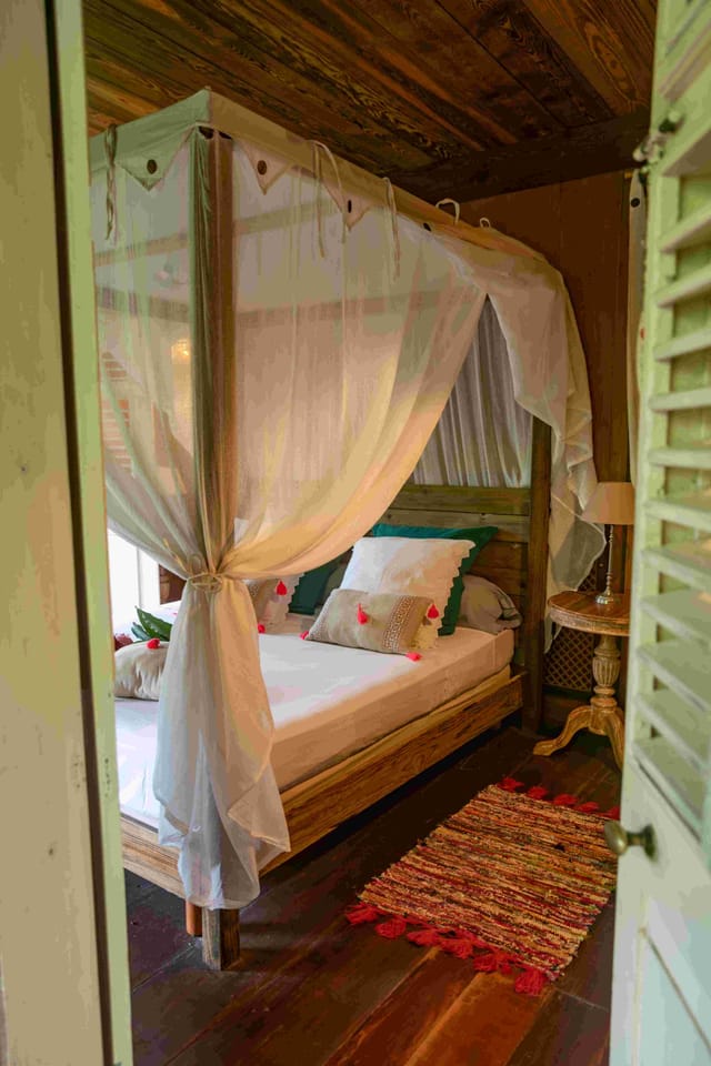 Chambre Bougainvilliers — photo 7