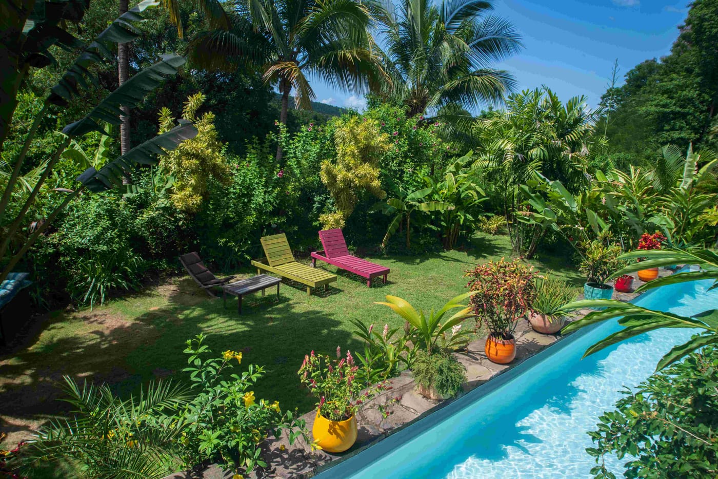 La piscine du domaine, entourée du jardin tropical